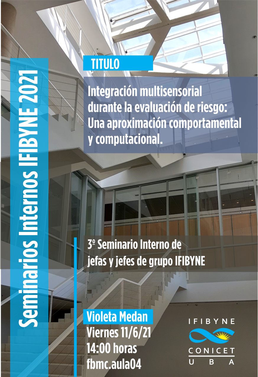 Seminario interno IFIBYNE Violeta Medan