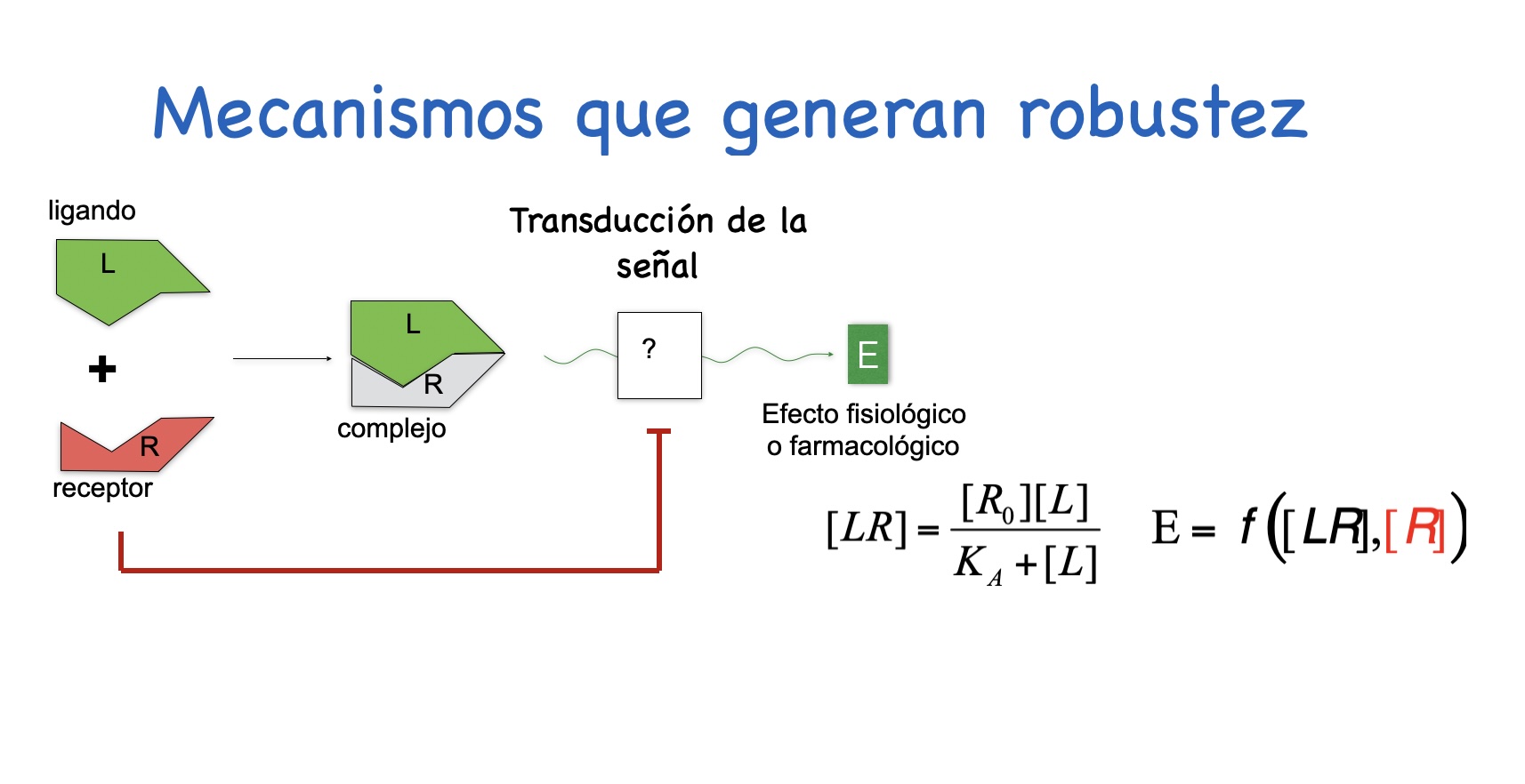 Grupo Colman Lerner